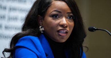 “C’è molta tensione”: I democratici sono impegnati in una lotta generazionale