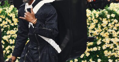 I migliori meme del Met Gala di tutti i tempi