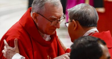 La delusione italiana. Il favorito Parolin rimasto senza i voti da Africa e Asia. Decisivi pre-conclave e la “regia” di Dolan