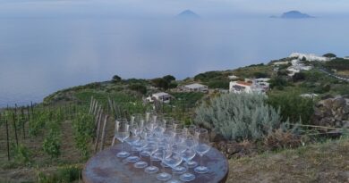 Il settore vitivinicolo attende i contraccolpi di eventuali dazi. Ma le produzioni di qualità sembrano immuni