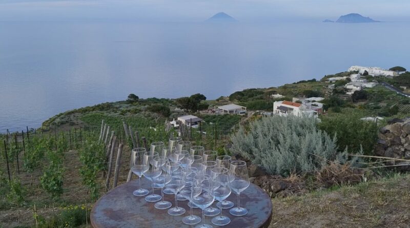 Il settore vitivinicolo attende i contraccolpi di eventuali dazi. Ma le produzioni di qualità sembrano immuni