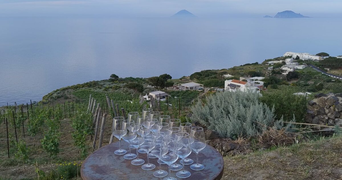 Il settore vitivinicolo attende i contraccolpi di eventuali dazi. Ma le produzioni di qualità sembrano immuni