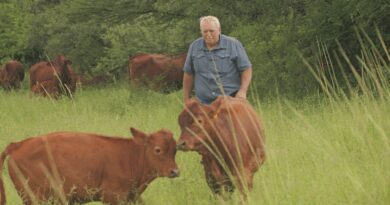 L’agricoltore bianco sudafricano dice a Sky News di essere felice che Trump abbia fatto il suo nome
