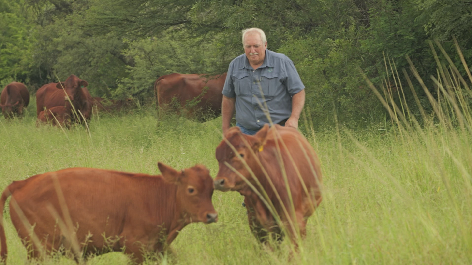 L’agricoltore bianco sudafricano dice a Sky News di essere felice che Trump abbia fatto il suo nome