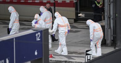 L’accoltellamento alla stazione ferroviaria in Germania lascia “12 persone” ferite, mentre una donna viene arrestata