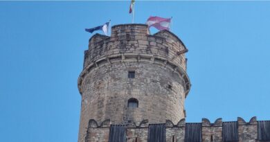 Bandiera della Provincia di Trento vs Bandiera dell’Austria: differenze e simbologie