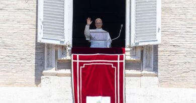 Il Papa: “Abbraccio i popoli che soffrono per la guerra”