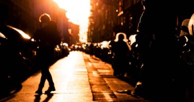 La democrazia senza il benessere