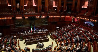 Dl sicurezza, dalle detenute madri alla resistenza passiva: ecco cosa prevede