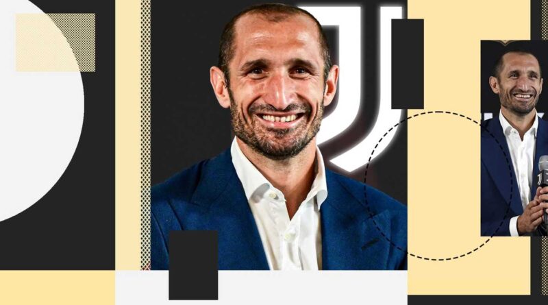 Juventus, Chiellini promosso con Comolli: il nuovo ruolo e cosa farà