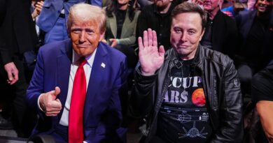 La nazione guarda con gioia come Musk e Trump si mettono l’uno contro l’altro