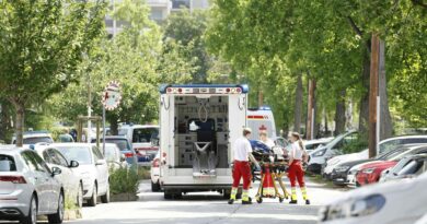Fa fuoco nella sua ex scuola, almeno 11 morti in Austria
