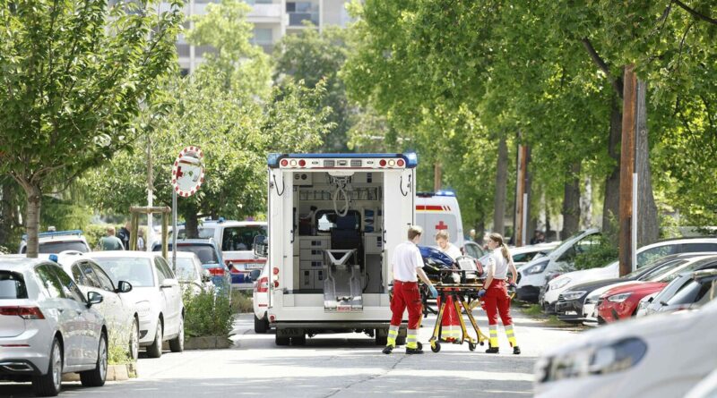 Fa fuoco nella sua ex scuola, almeno 11 morti in Austria