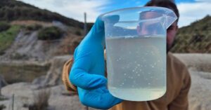Sardegna, batterie e piante autoctone per bonificare terreni inquinati da metalli pesanti