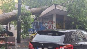 Il Nord Italia nella tempesta, donna schiacciata da un albero. Oggi ancora allerta per 12 regioni
