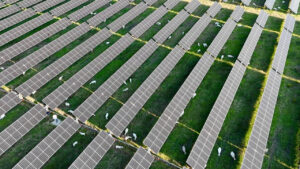 Mega parco agrivoltaico in provincia di Lodi, grande come 190 campi da calcio. C’è confusione su chi deve autorizzare