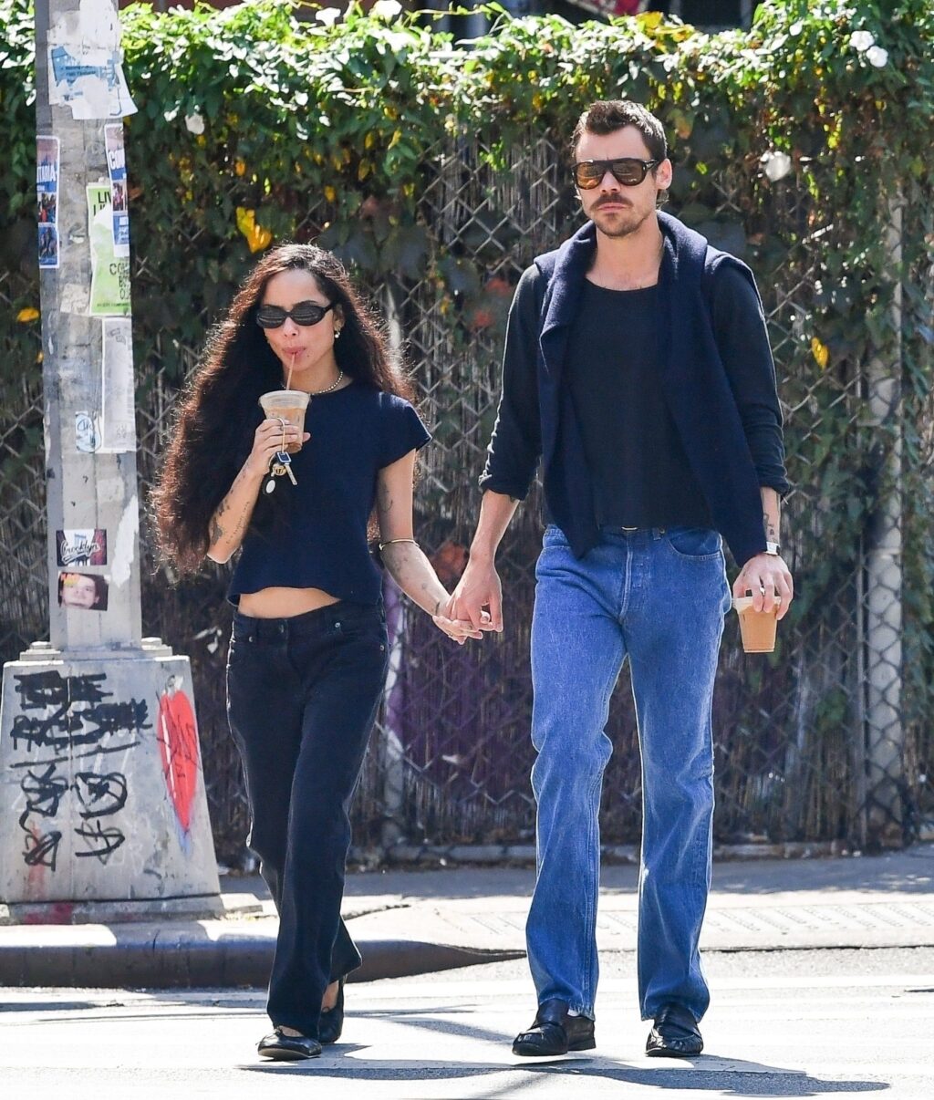 Harry Styles e Zoë Kravitz ufficializzano il loro stile di coppia